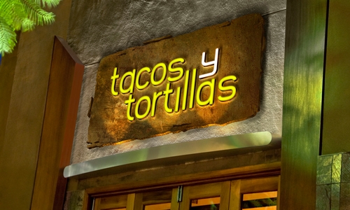 Tacos y Tortillas