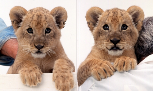 MGM